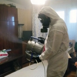 Дезинфекция от клопов в Сясьстрое