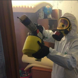 Уничтожение клопов в квартире. Сясьстрой